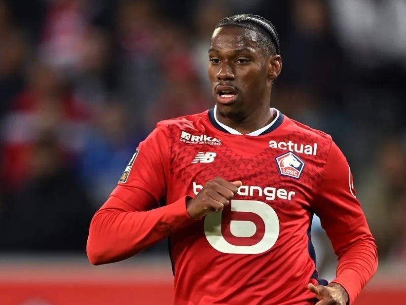 增添了希望 增添了希望