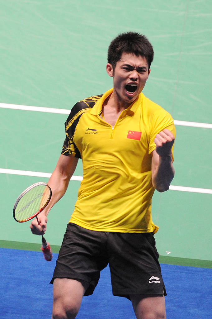 掀起了一阵 掀起了一阵