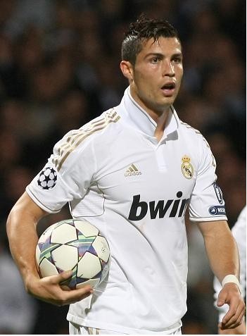 牛棚层级的 牛棚层级的